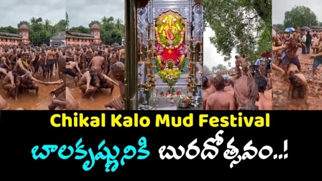 chikal kalo mud