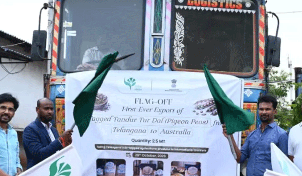 Telangana’s GI-tagged Tandur Redgram (Toor Dal) exported to Australia for the first time